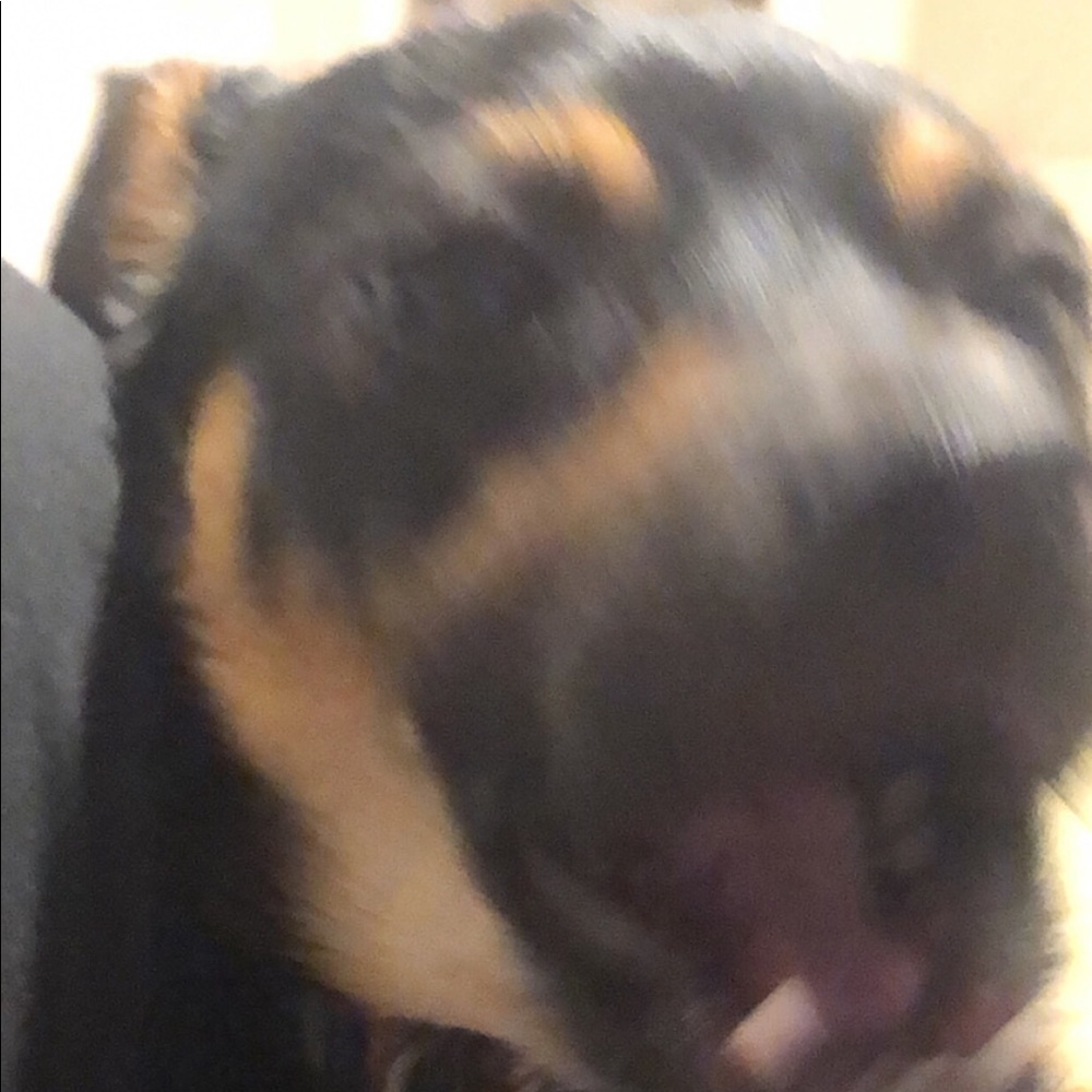 Meet your Posher, Ethan